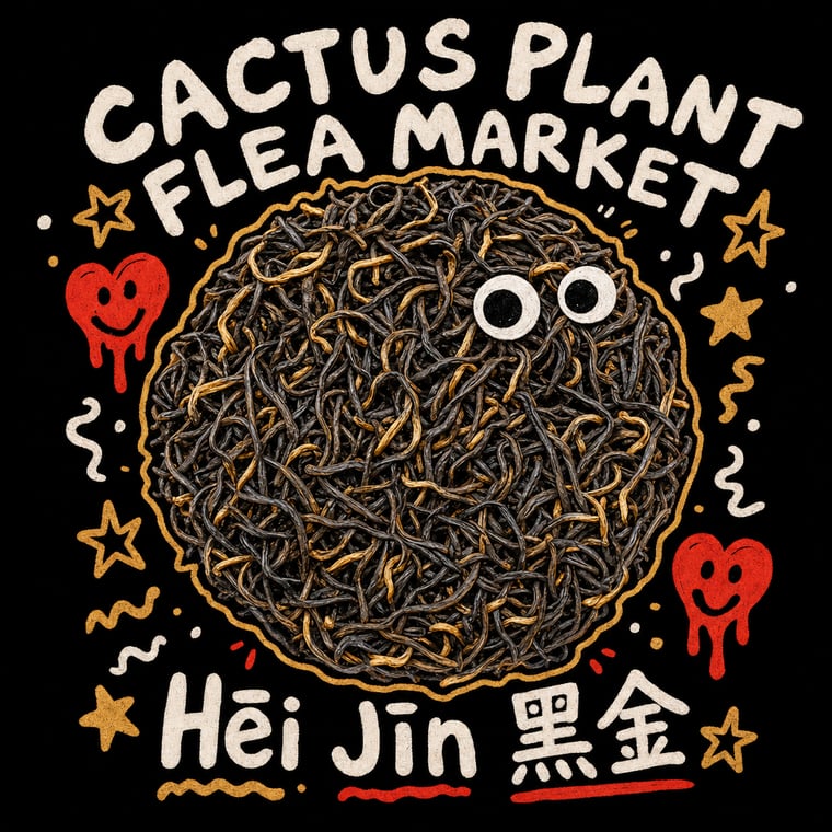 The design — Hēi Jīn